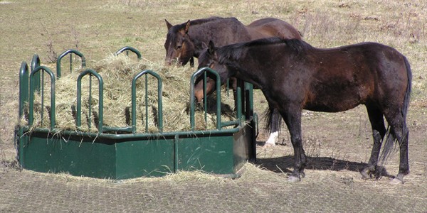 Cleaner Feeding, Better Footing Horses feeding from a round bale feeder on Hi-Hog Paddock Slab ground tiles, providing firm, dry footing in a corral setting.