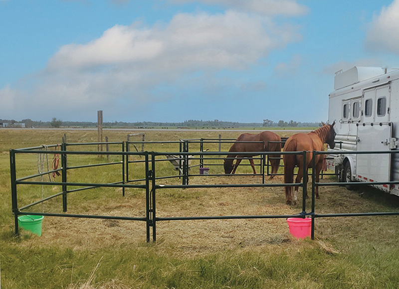 Travel with peace of mind for your Equine Family Travel Horse Corrals that are set up where you camp.