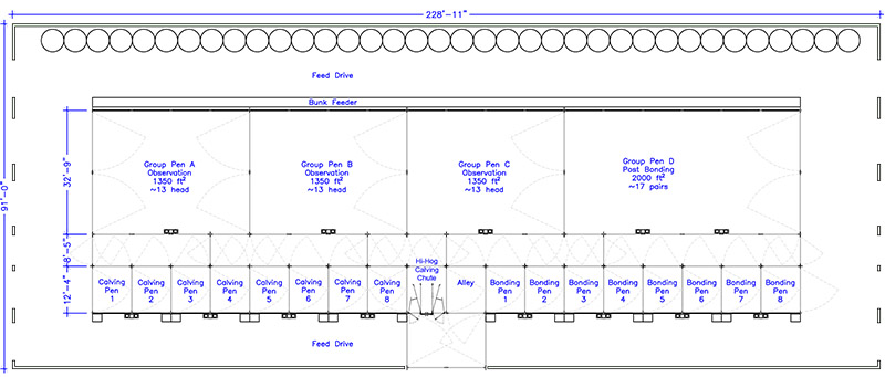 A sample of a large calving barn with Hi-Hog pens and calving/maternity pen