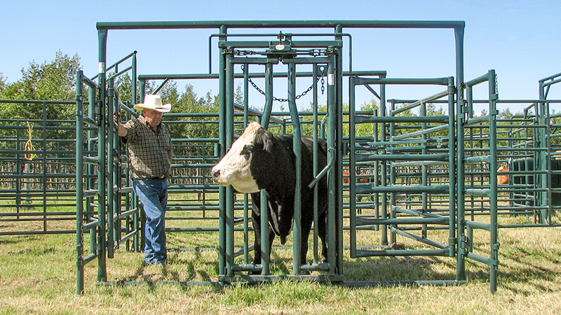 Hi-Hog calving enclosure and maternity pen