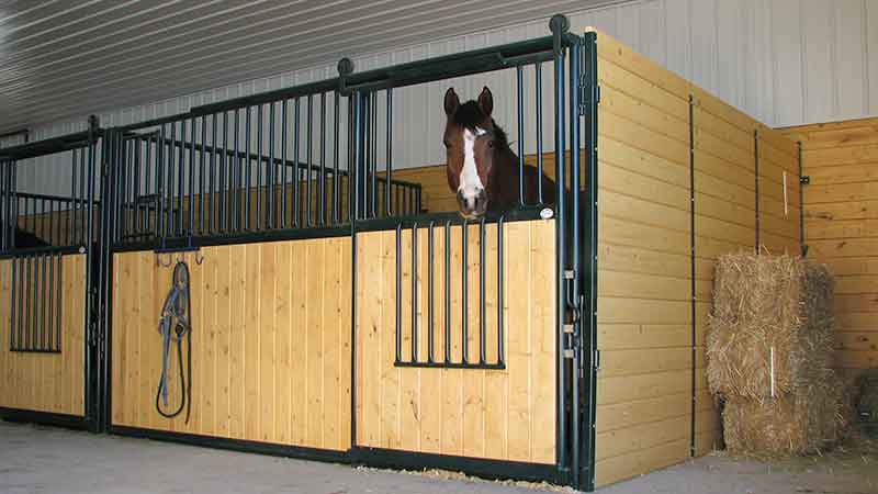 Custom Length Horse Stall Partitions from Hi-Hog