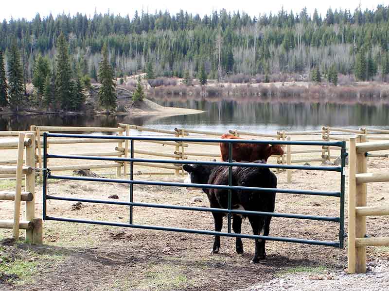 Hi-Hog livestock gates for the farm and ranch