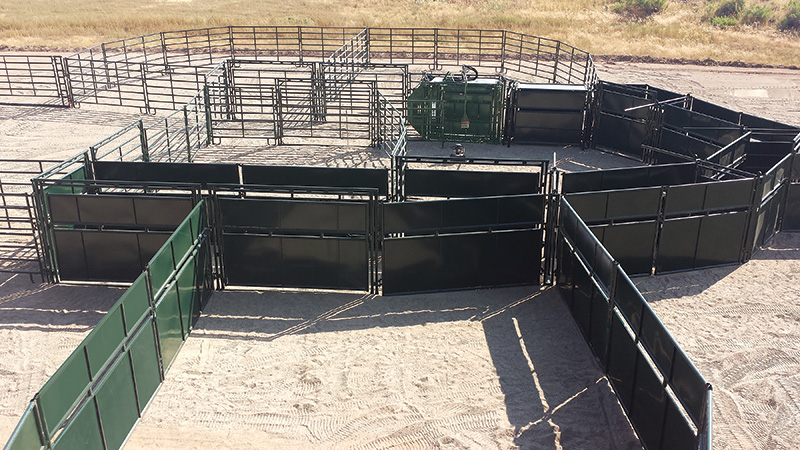 A system of tall strong panels and gates for corralling Bison