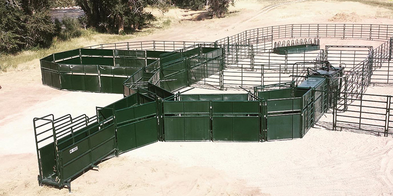 A system of panels and gates for handling Bison.