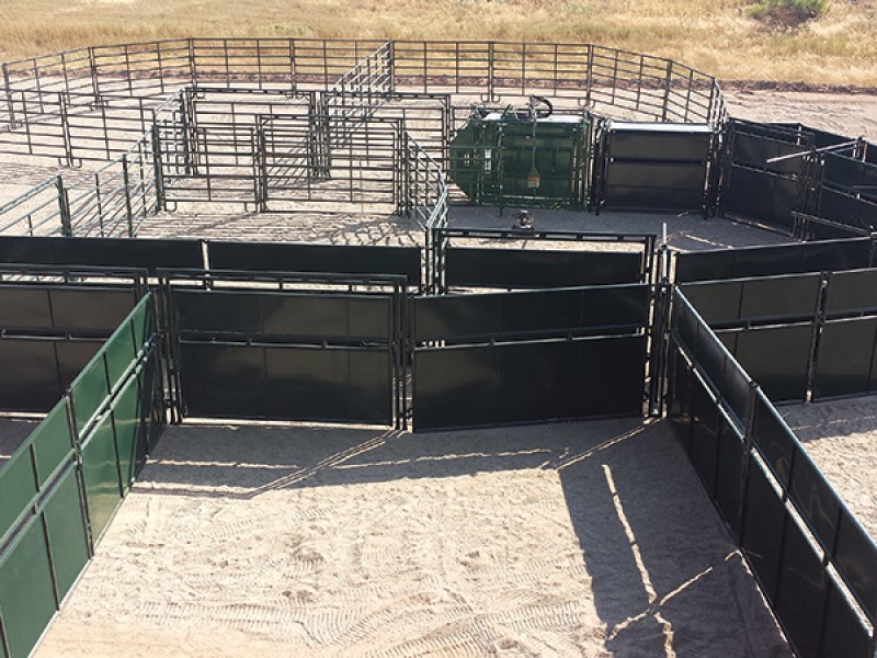 Hi Hog Bison Handling System 1