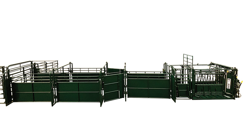 Cattle Sorting Double Alley Designed for Fast Sorting