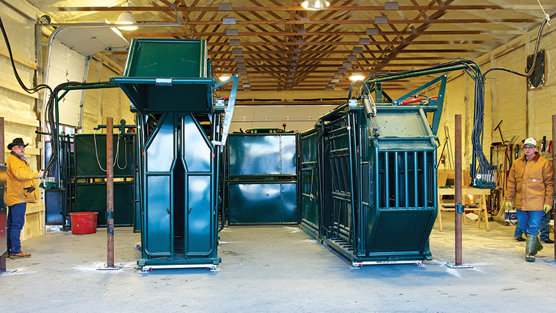 Hi Hog Hydraulic Bison Squeeze Chute - Chinook Bison installation