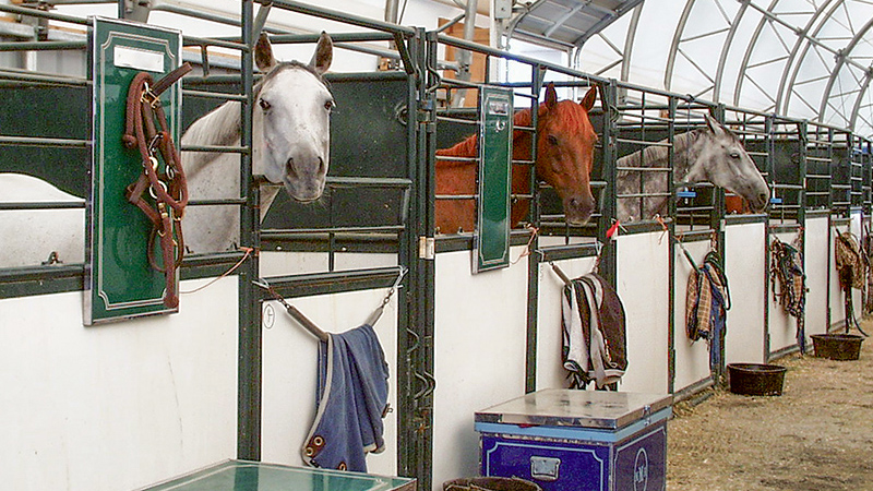 Portable cheap horse stalls