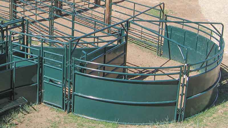 Hi Hog cattle tub sweep with funnel section for superior livestock flow