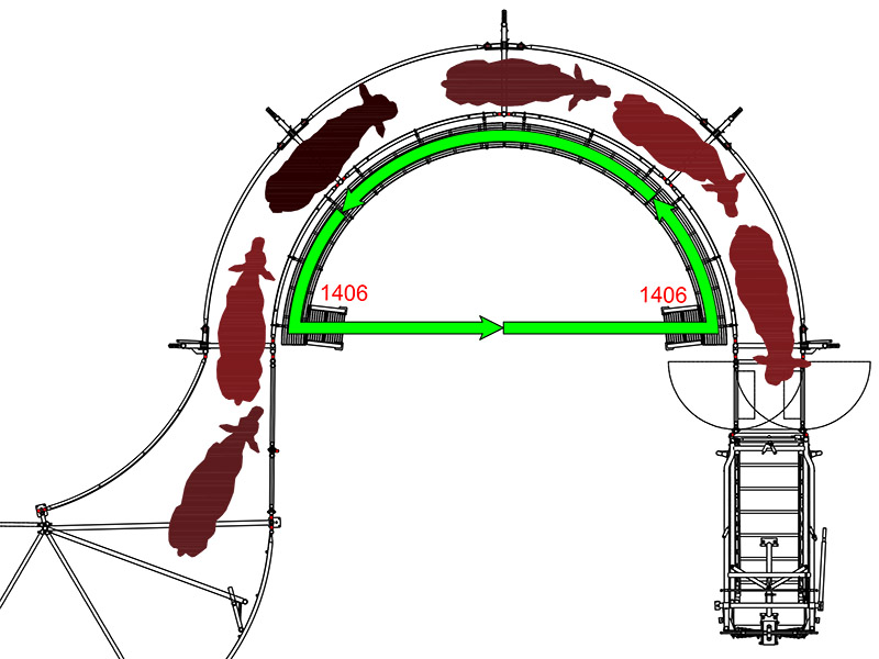 Add stairs to support cattle flow and reduce work