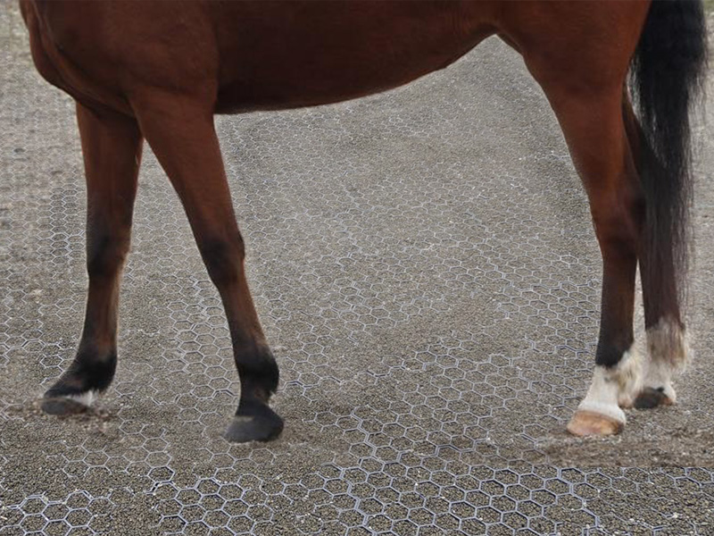 Paddock Slabs » HiHog