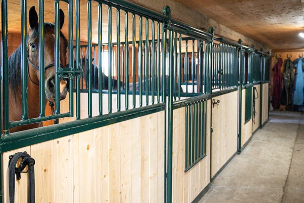 Early planning helps ensure your project stays on schedule. Hi-Hog Box Stall Frames are designed for durability, easy installation, and a clean finished look in your barn. Built to handle daily use and stand up over time.