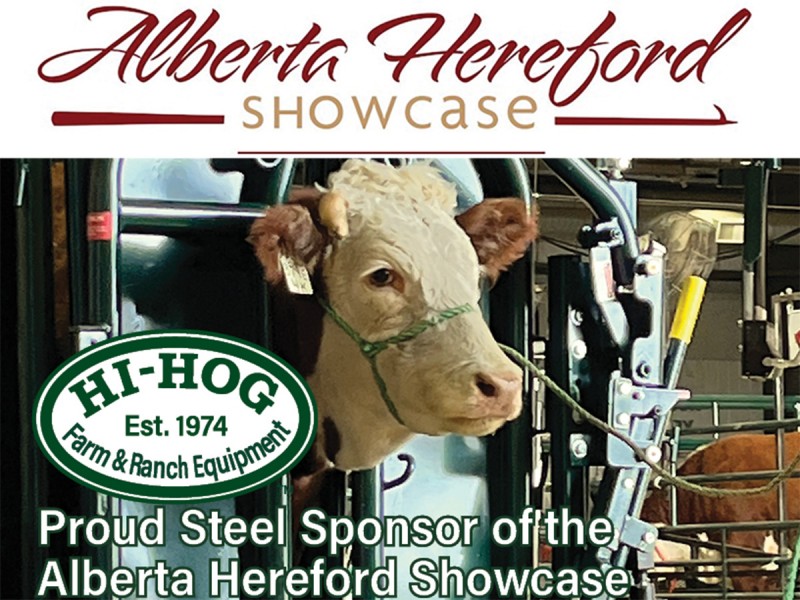 2025 Alberta Hereford Web