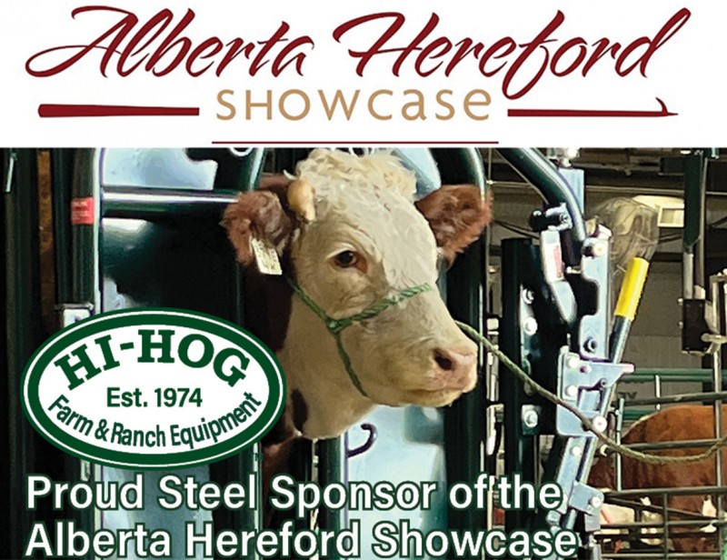 2025 Alberta Hereford Web