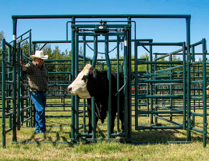 Calving Enclosure Maternity Pen