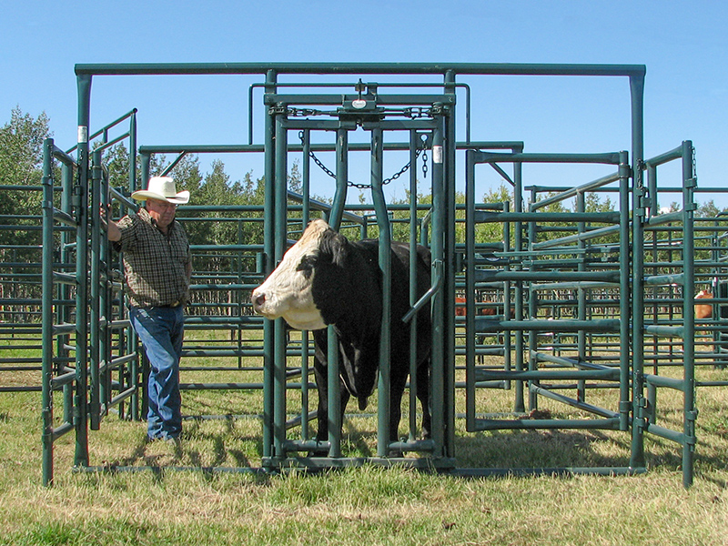 Hi Hog Calving Equipment2