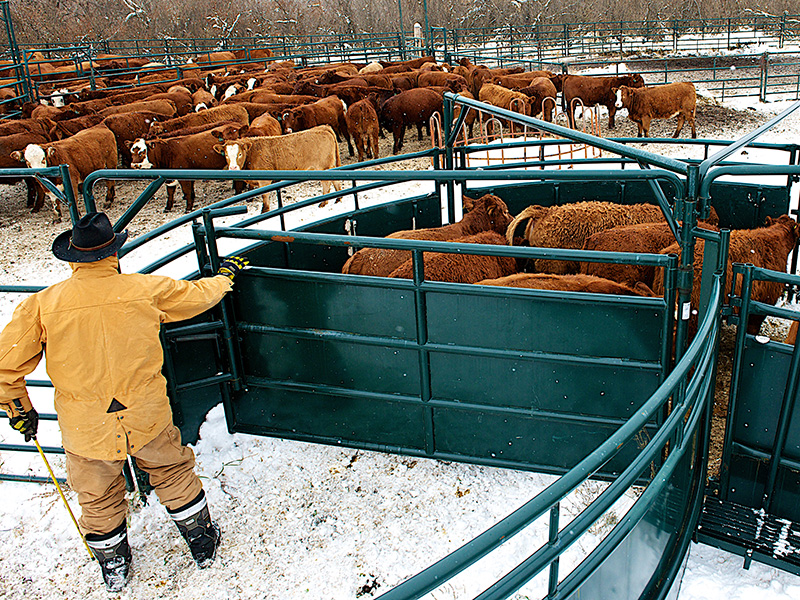 Hi Hog Crowding Tubs sweeps and bud boxes
