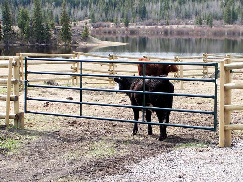 Hi Hog Livestock Panels and Gates v1