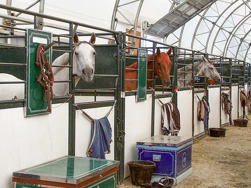 Hi Hog Portable Event Horse Stalls