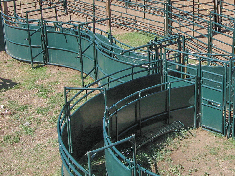 Hi Hog cattle handling alleys overview