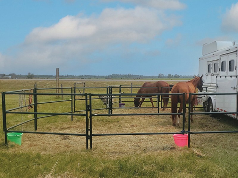 Folding Portable Equine Corral Panels Hi Hog Equestrian Reining Horse
