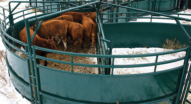 All of Hi-Hog's crowding tubs are completely reversible safe handling of cattle on the ranch in the winter